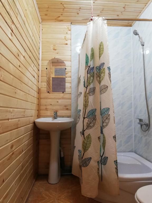 Гостевой дом Гостевой дом Олимп Пицунда-57