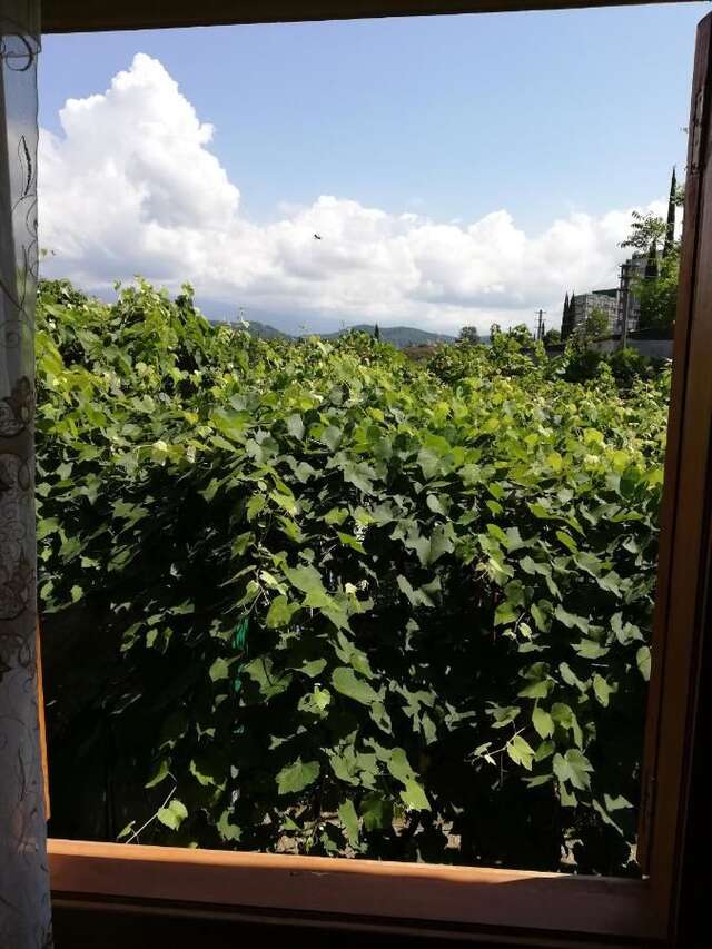 Гостевой дом Гостевой дом Олимп Пицунда-9